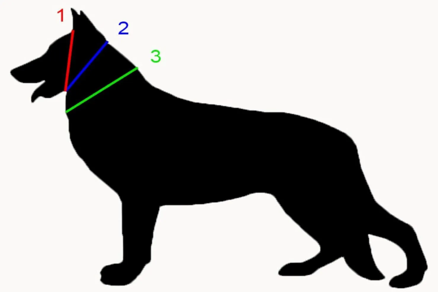 BioThane Slip Collars