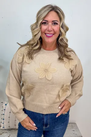 Mocha Sweater with Raised Flowers